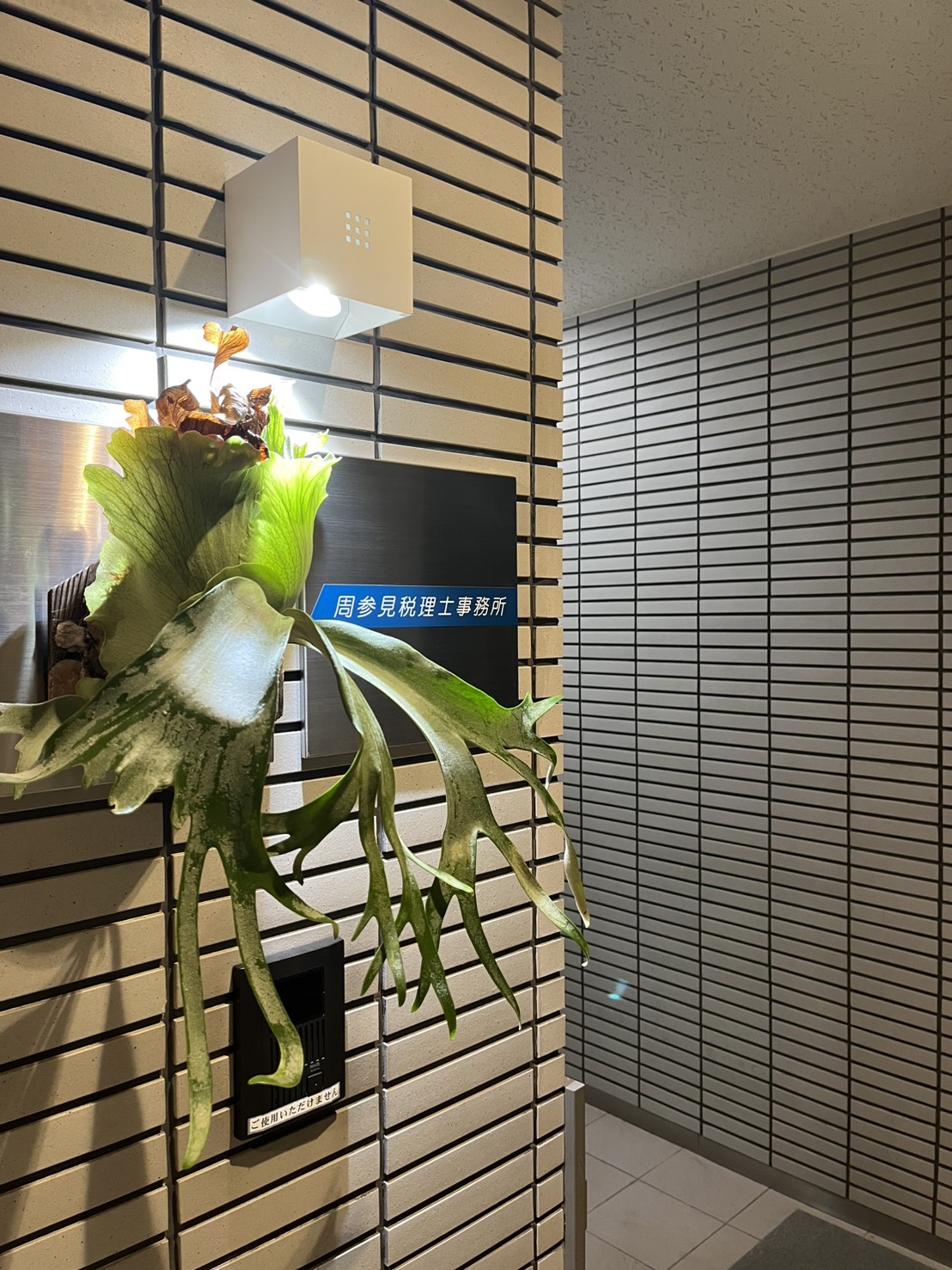 周参見税理士事務所エントランスの看板と花
